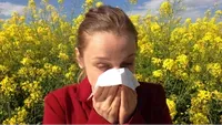 Estornudo…  bajo el sol exactamente