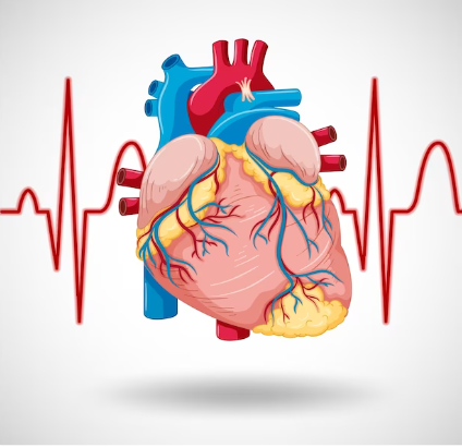 Patent arterial ductus: When the heart resists closing