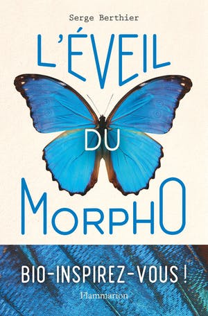 L'Eveil du Morpho